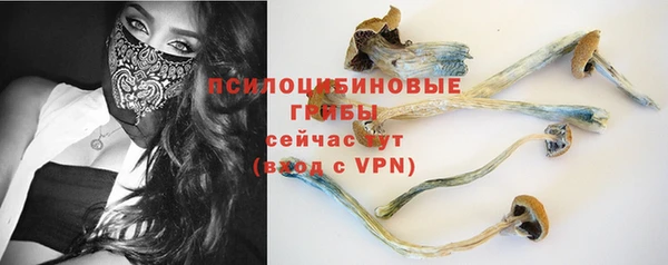 герыч Новозыбков
