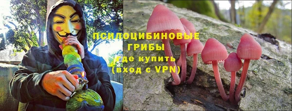 mdma Новодвинск