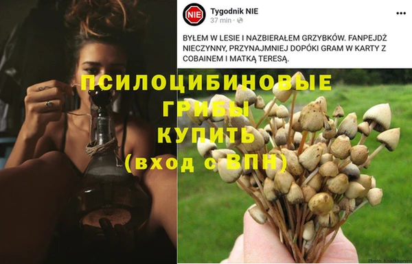 mdma Новодвинск