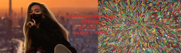 mdma Новодвинск
