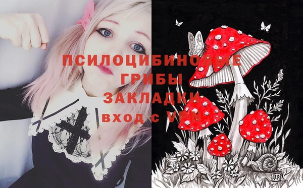герыч Новозыбков
