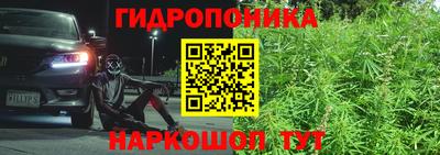 a pvp Славянск-на-Кубани