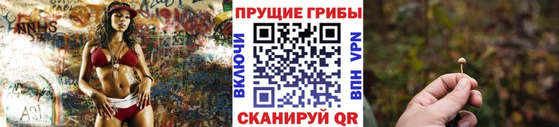 кракен ONION  Ялуторовск  Галлюциногенные грибы Psilocybine cubensis 